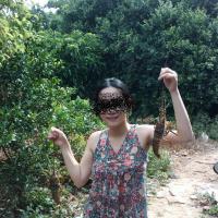 /photo/703312/太太/psu (54)_1_1_small.jpg